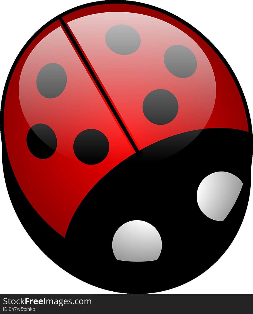 Red, Ladybird, Design, Circle