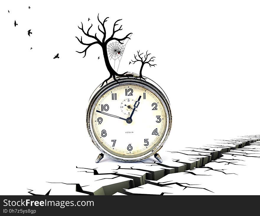 Clock, Branch, Home Accessories, Font