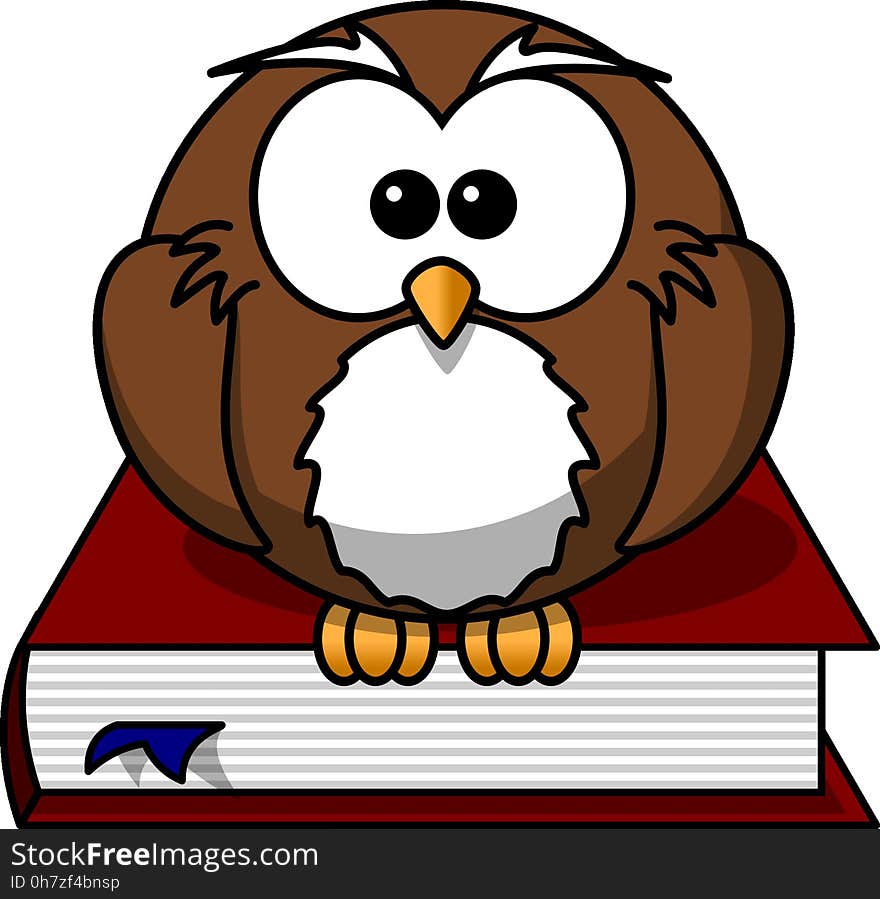 Beak, Bird, Owl, Clip Art