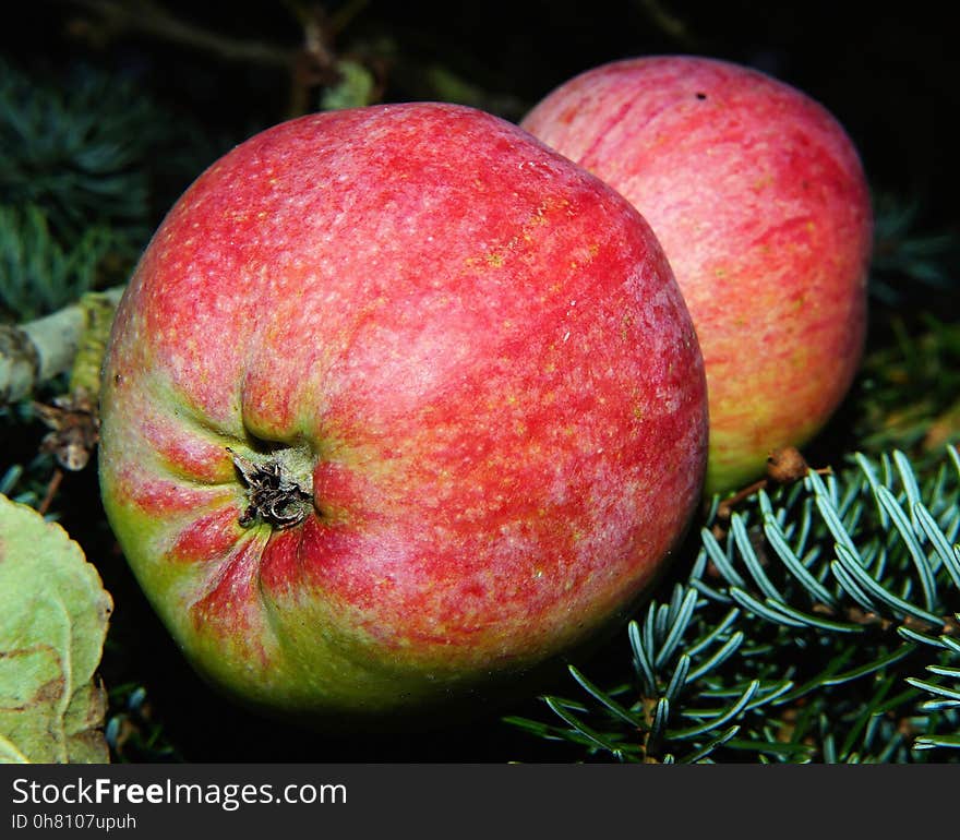 Natural Foods, Fruit, Apple, Local Food