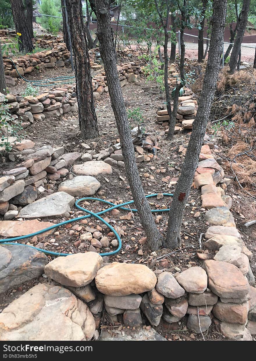 My rock walls have the convergence while the V-shaped juniper has divergence covered. My rock walls have the convergence while the V-shaped juniper has divergence covered