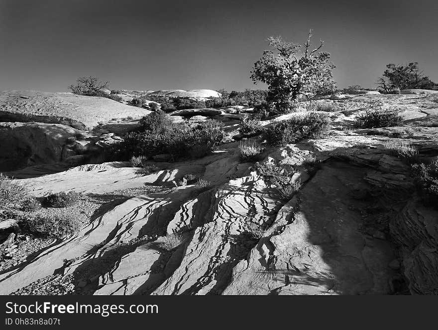 MULEY POINT, SAN JUAN CO, UTAH - 2016-09-26 - campsite in morning -16 -BW