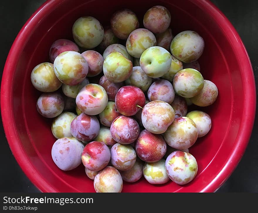 I picked most of the plums today before the birds do them in. I&#x27;ve to enough for a batch of jam. I picked most of the plums today before the birds do them in. I&#x27;ve to enough for a batch of jam.