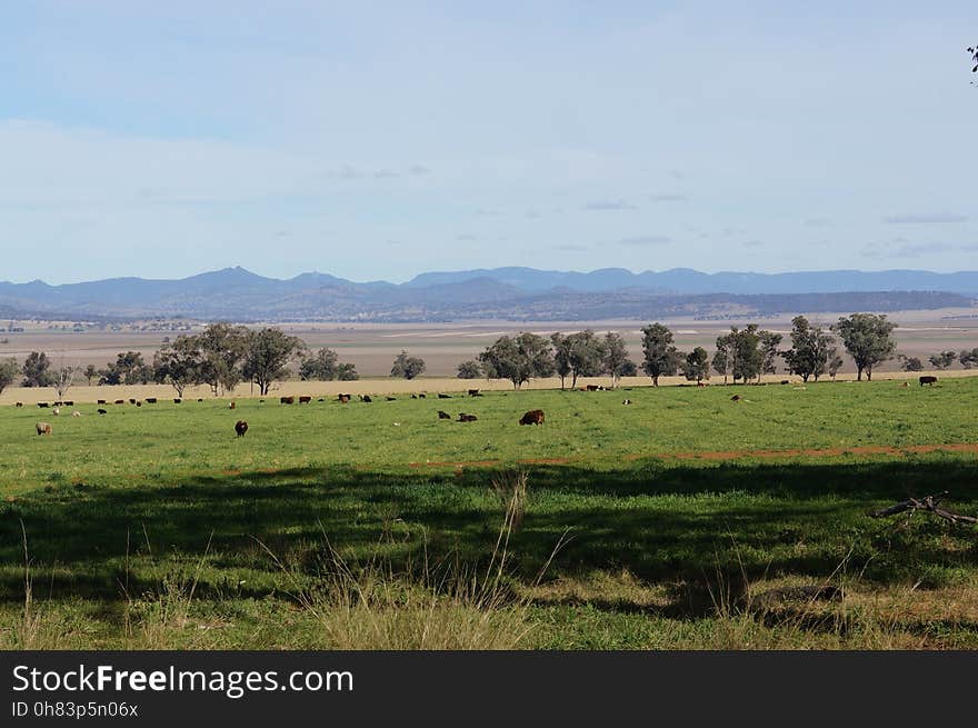 north side of the range, viewed from Share Farm Road, Warrah Ridge, New South Wales. north side of the range, viewed from Share Farm Road, Warrah Ridge, New South Wales