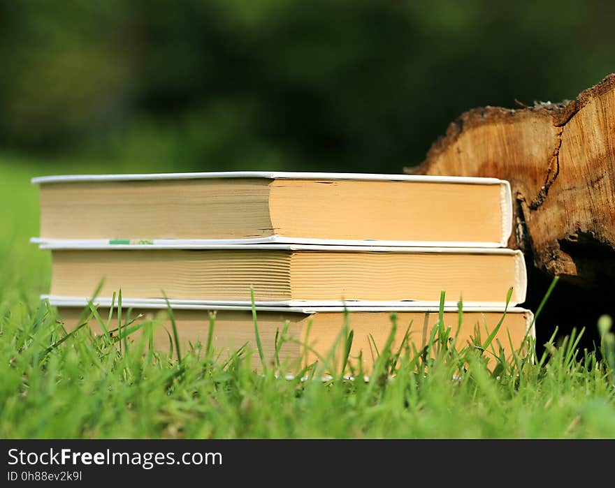 Selective Focus Photography of 3 Book Piled