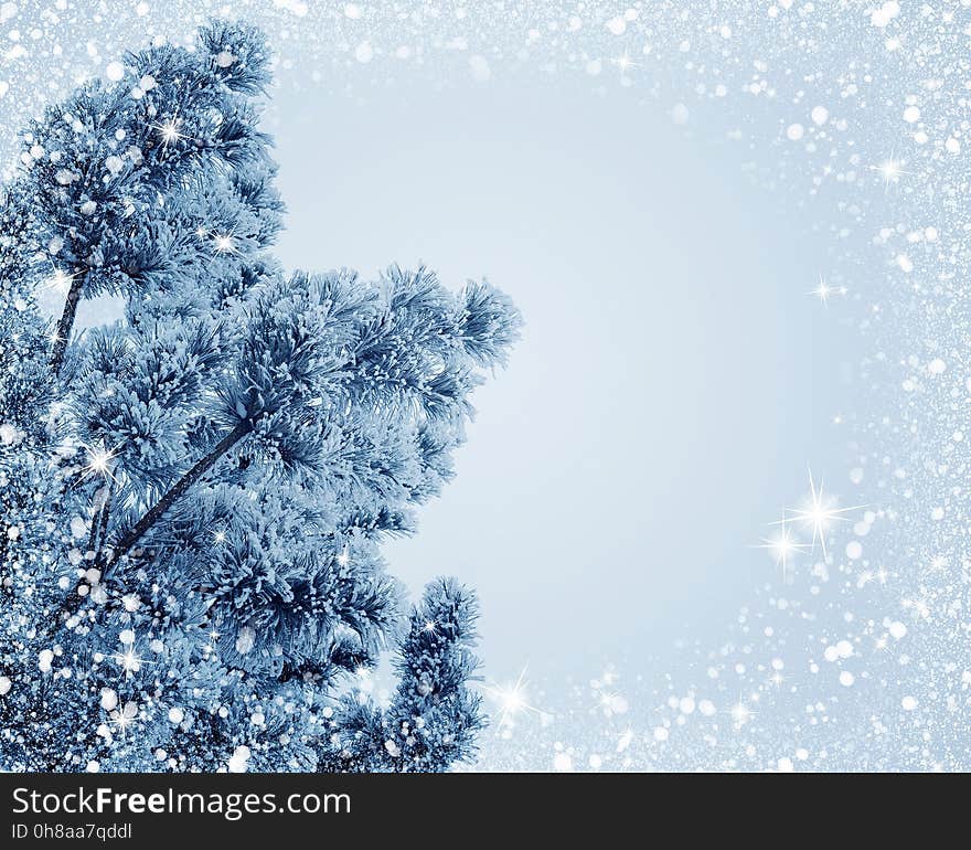 Winter, Frost, Sky, Branch