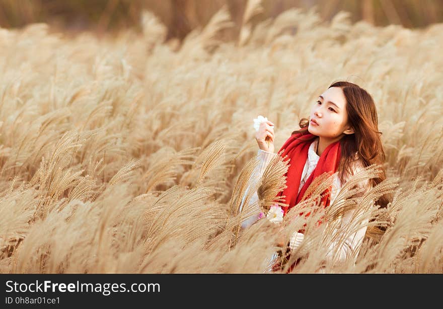 Grass Family, Girl, Wheat, Long Hair