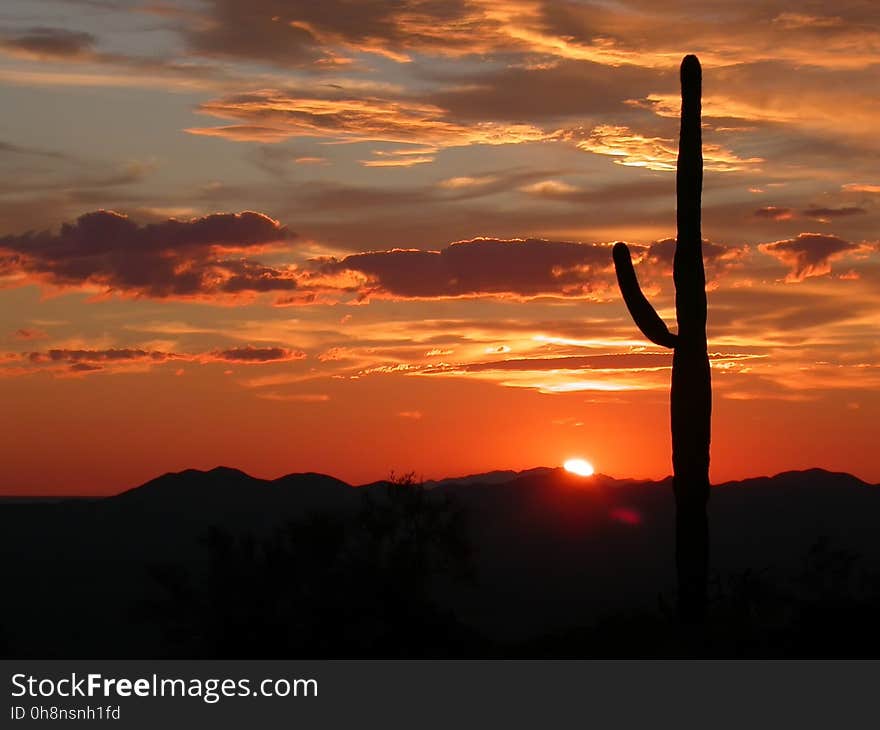 Sky, Afterglow, Sunset, Sunrise