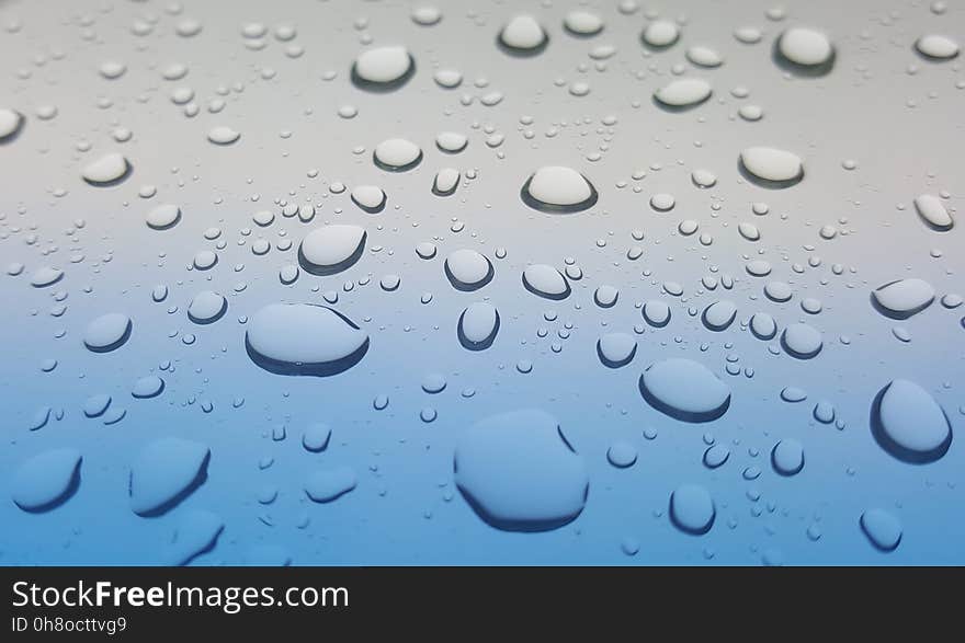 Drop, Water, Moisture, Close Up