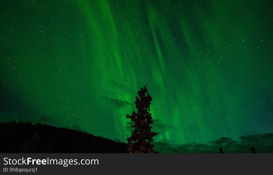 Green, Nature, Aurora, Atmosphere