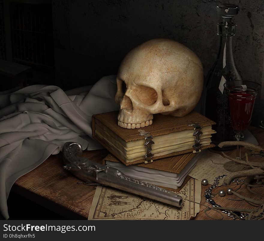 Still Life, Still Life Photography, Bone, Skull