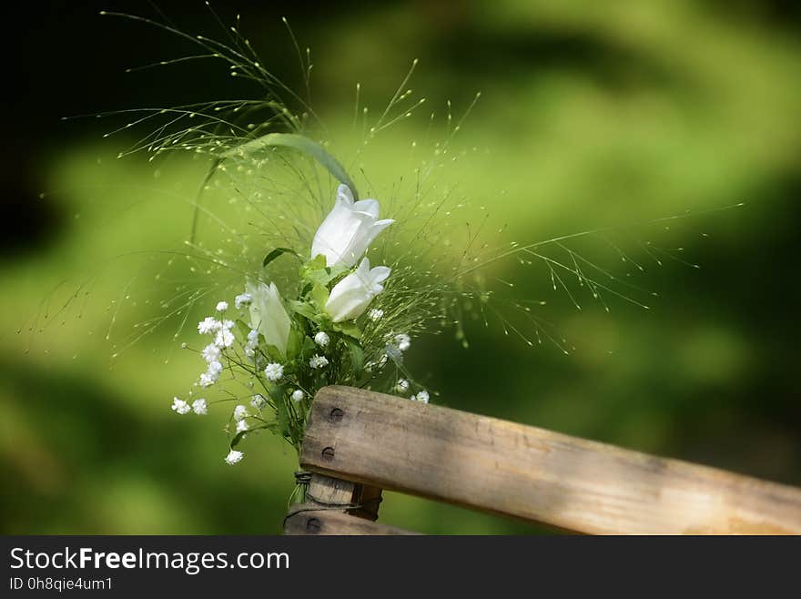 Water, Macro Photography, Moisture, Grass