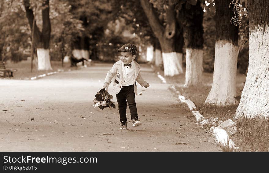 Photograph, Tree, Mammal, Vertebrate