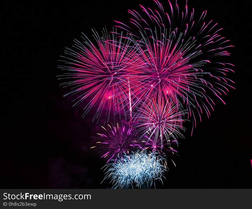 Fireworks, Pink, Event, Purple