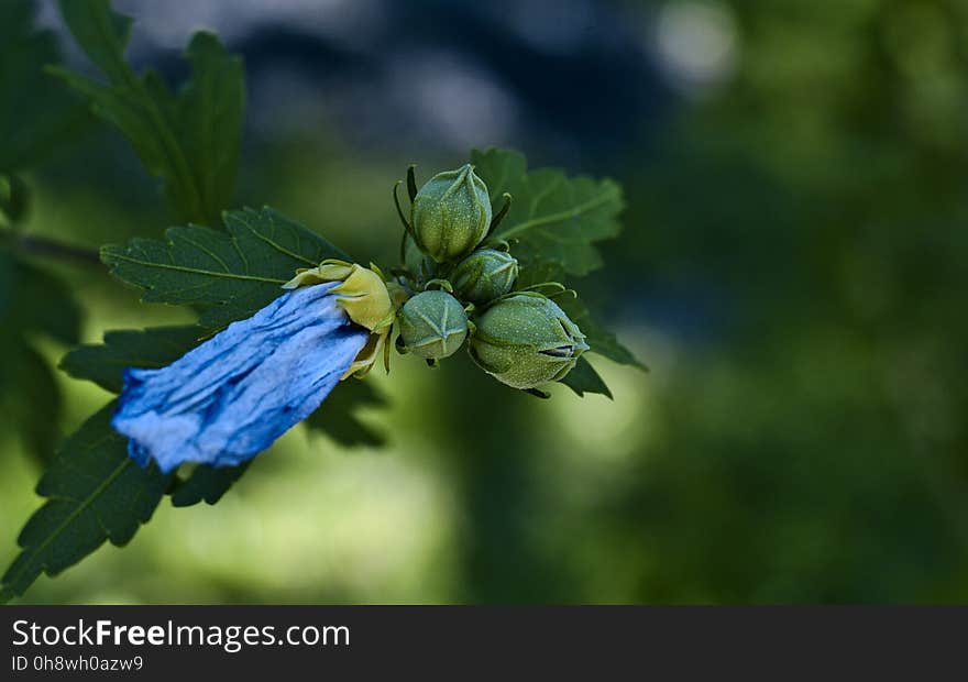 Turning to Seeds