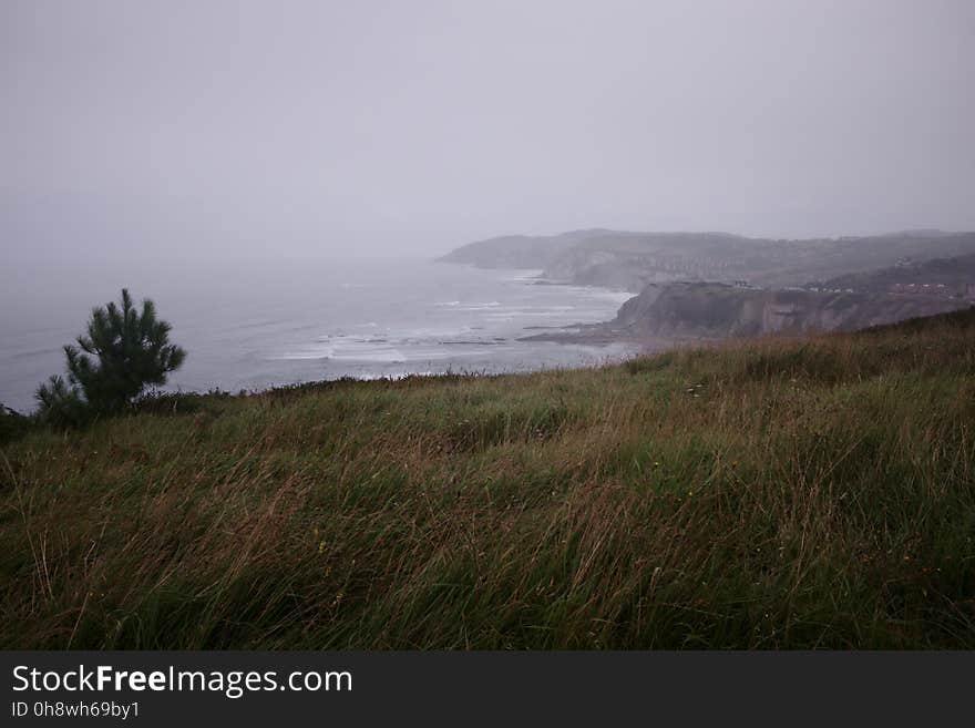 Sky, Water, Plant, Natural landscape, Coastal and oceanic landforms, Land lot