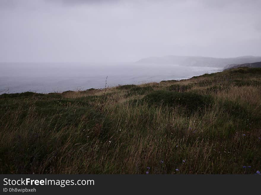 Sky, Cloud, Plant community, Plant, Land lot, Slope