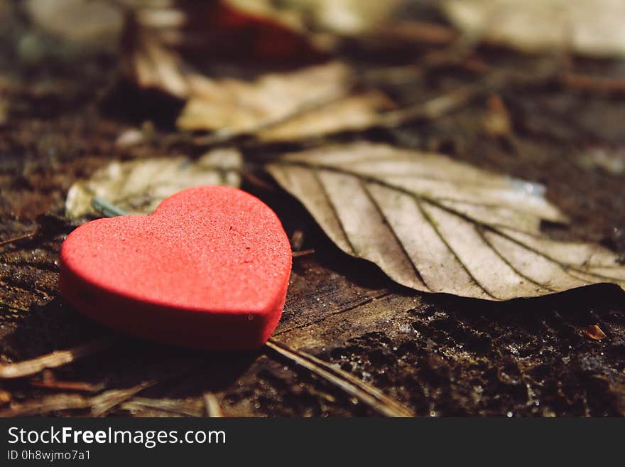 Close-up of Heart Shape