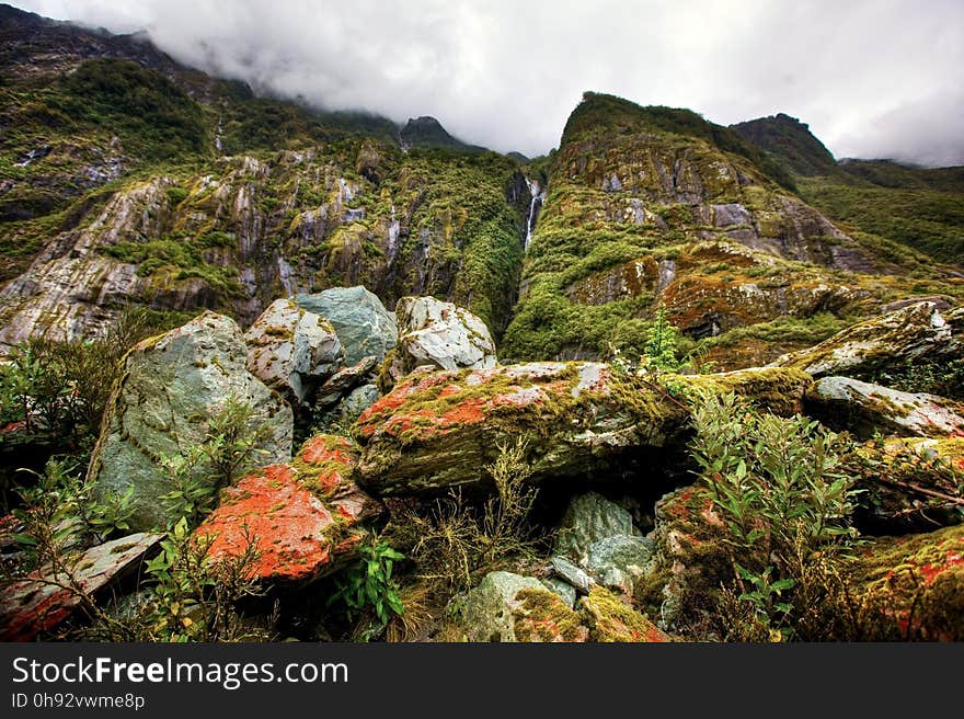 Vegetation, Wilderness, Nature Reserve, Rock