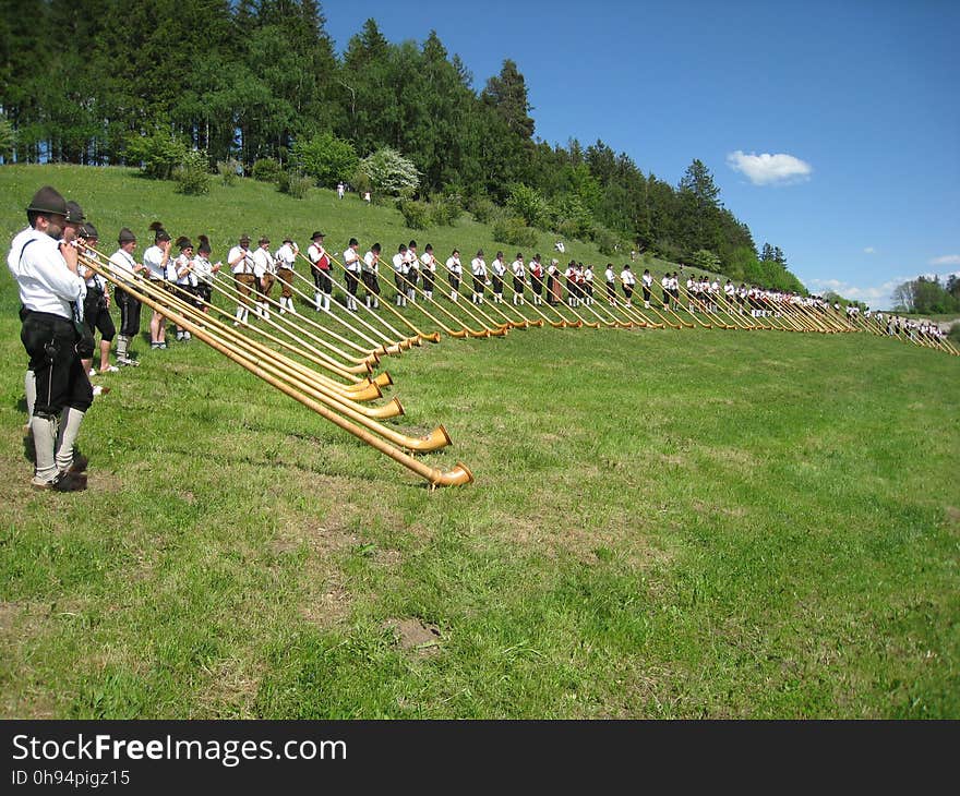 Alphorn, Wind Instrument, Brass Instrument, Grass