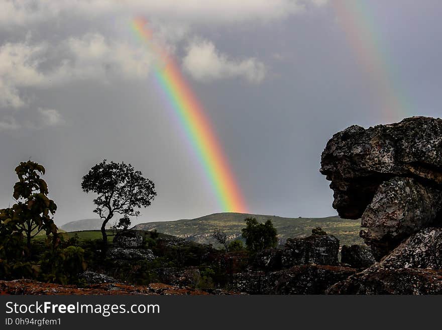 Rainbow, Sky, Meteorological Phenomenon, Tree