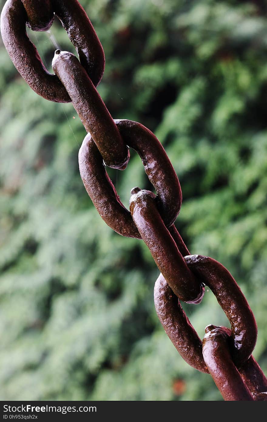 Serpent, Metal, Close Up, Snake