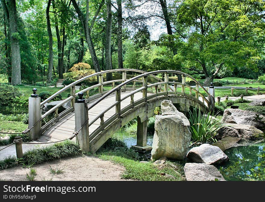 Nature, Nature Reserve, Vegetation, Bridge