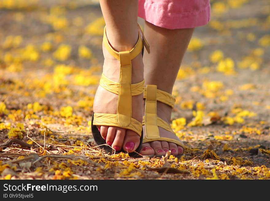 Footwear, Yellow, Shoe, Leg