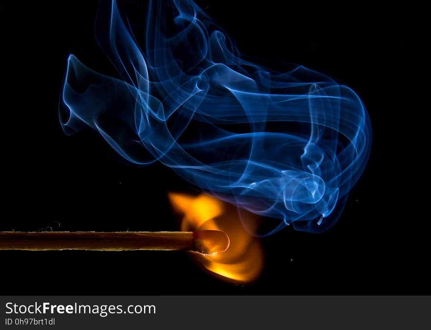 Smoke, Flame, Electric Blue, Organism