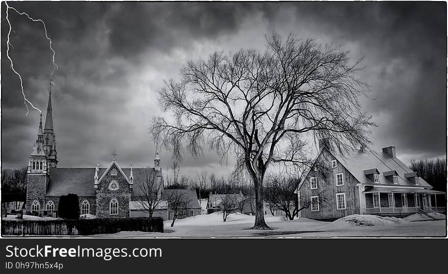 Sky, Tree, Cloud, Black And White