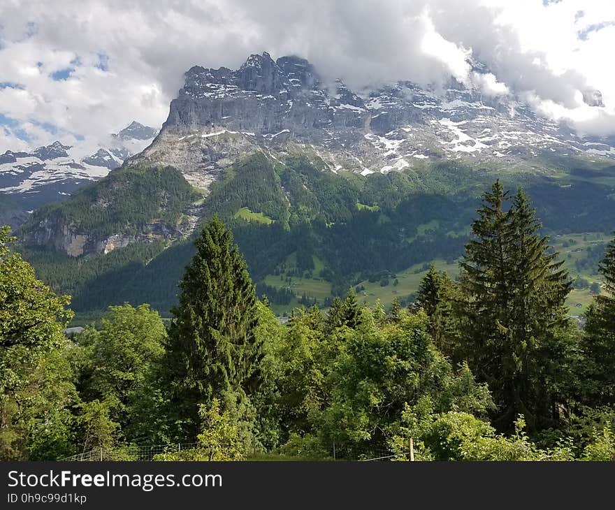 Mountain rising above the trees