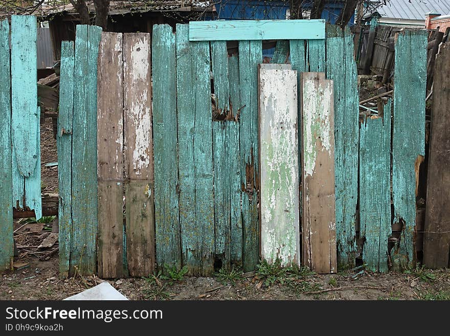 Plant, Green, Wood, Door, Grass, Home fencing