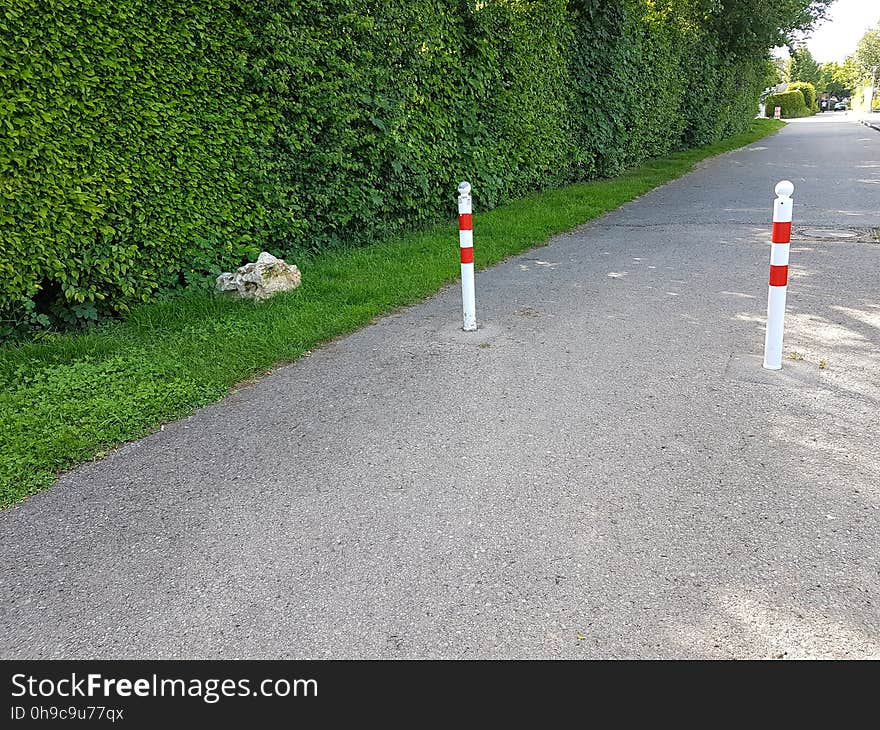 Plant, Road surface, Asphalt, Cone, Thoroughfare, Slope