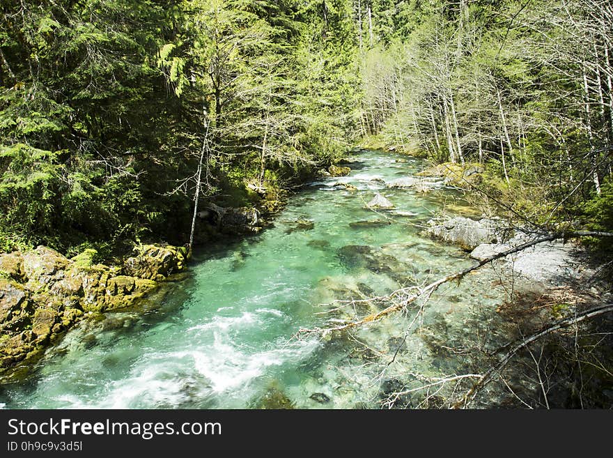 Opal Creek, Oregon