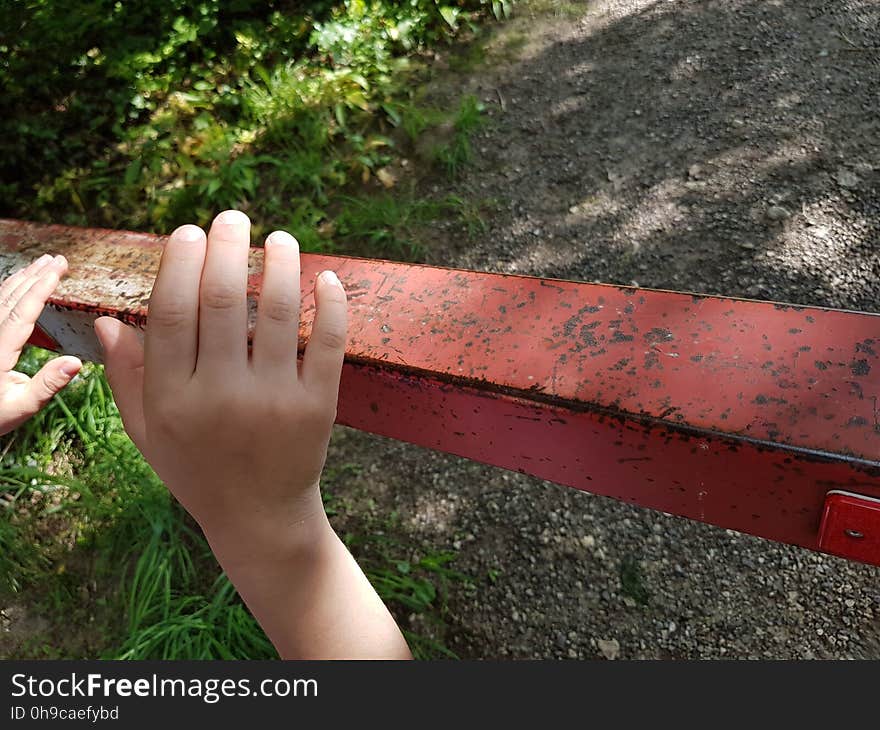 Hand, Plant, People in nature, Wood, Gesture, Finger