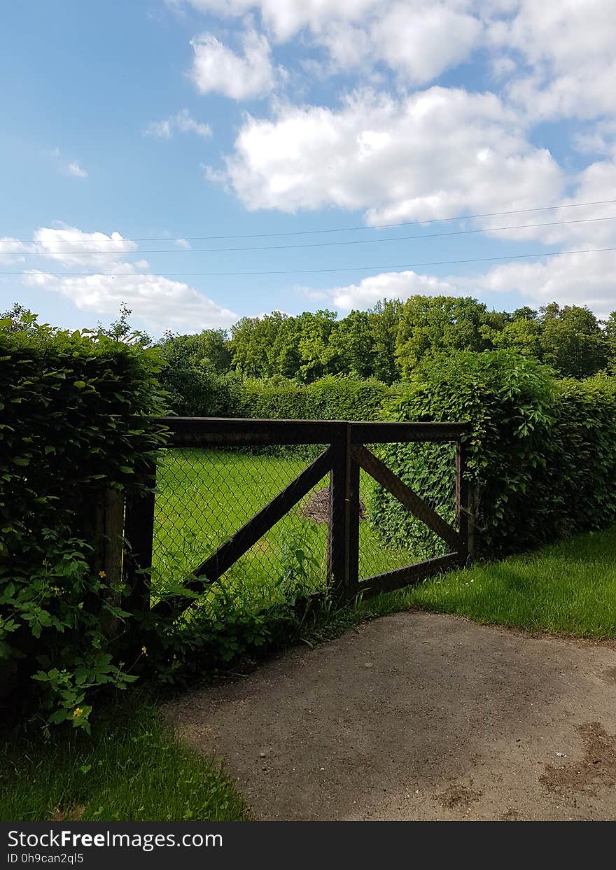 Cloud, Plant, Sky, Natural landscape, Highland, Fence