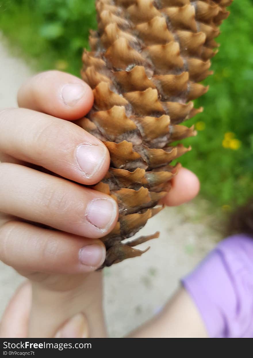 Hand, Plant, Finger, Gesture, Terrestrial plant, Cuisine