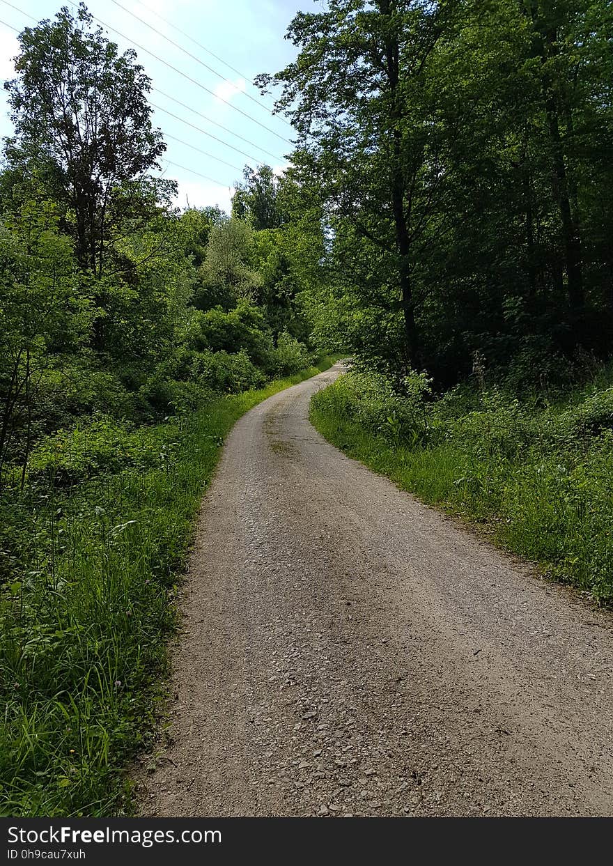 Plant, Sky, Natural landscape, Road surface, Cloud, Tree