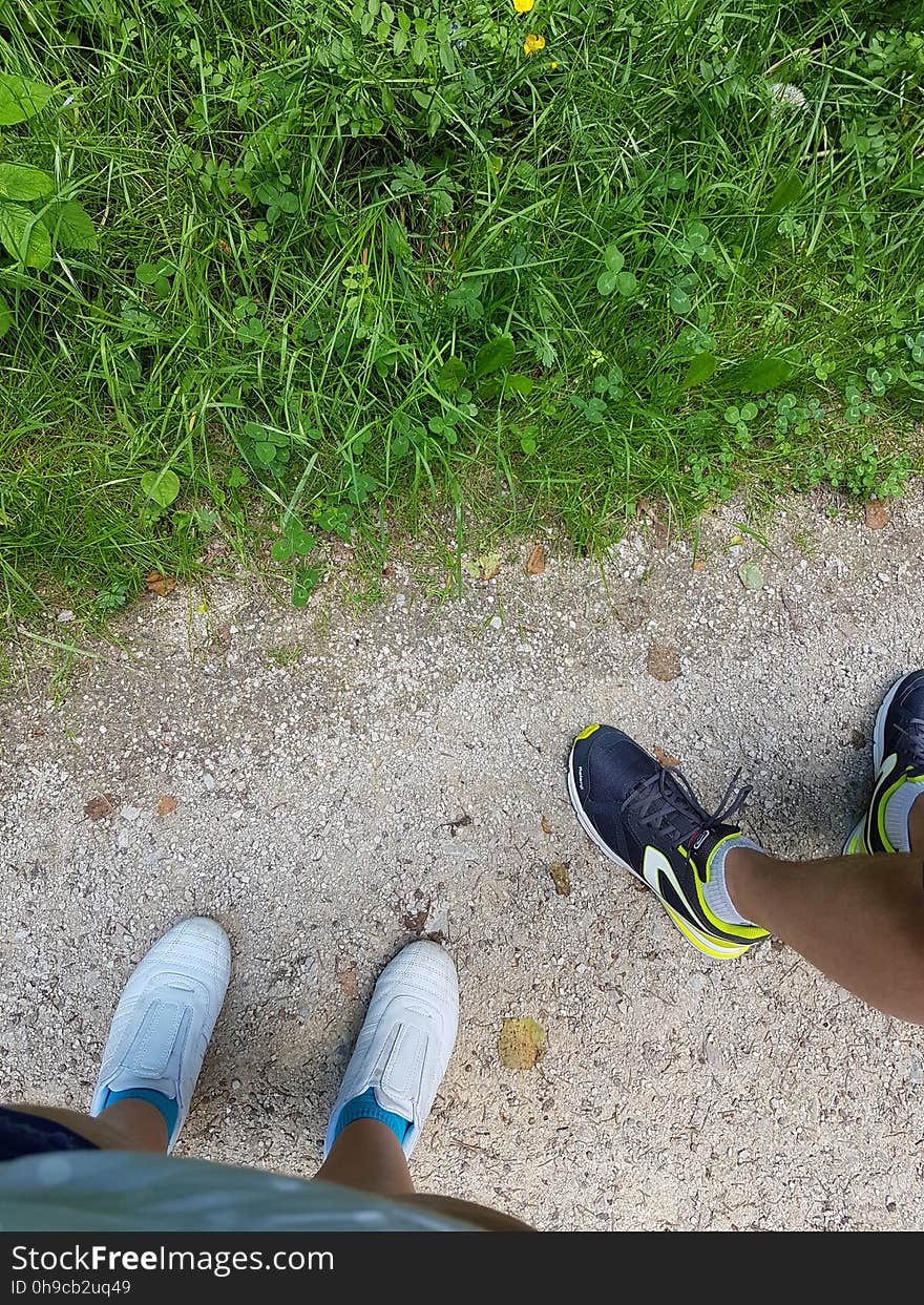 Footwear, Plant, Shoe, Leg, People in nature, Road surface