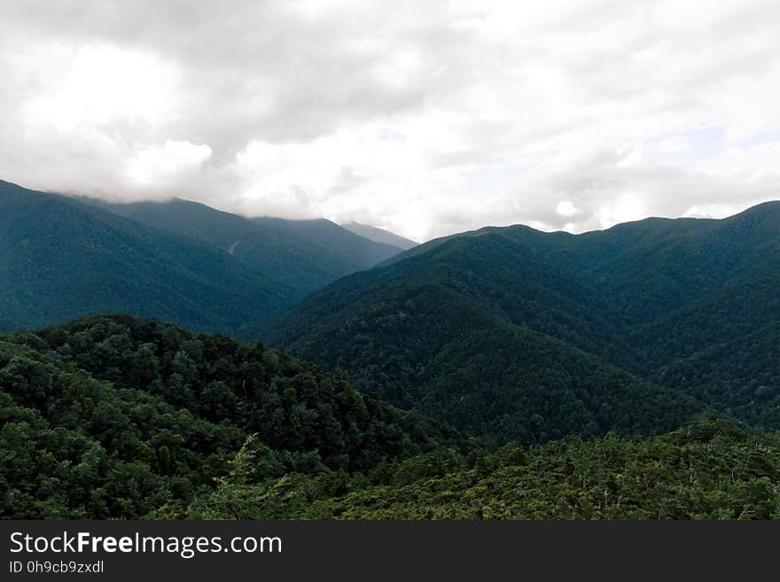 Mt Holdsworth, Wairarapa. Mt Holdsworth, Wairarapa