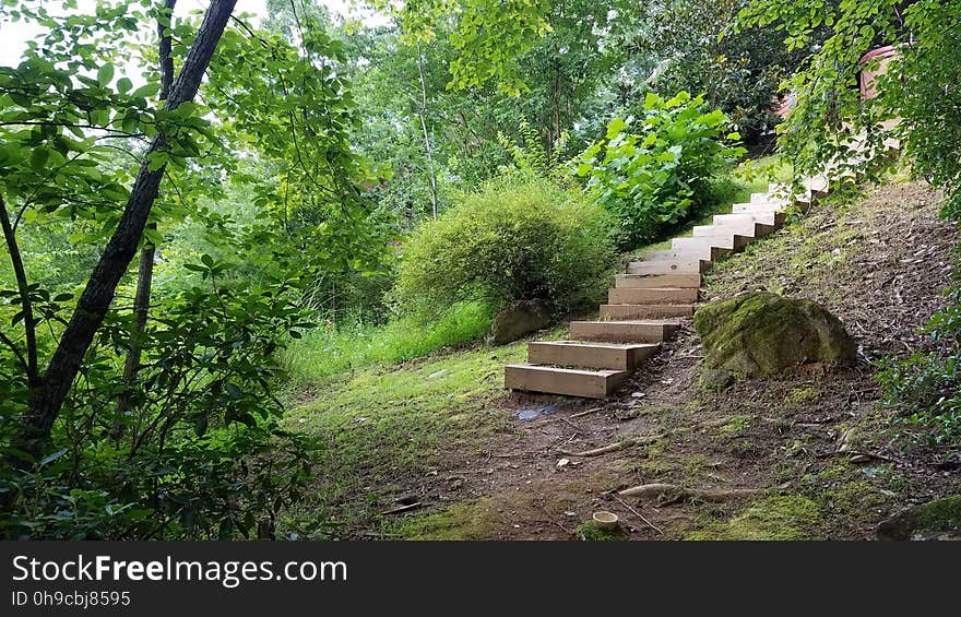 Wooden staircase at Lake Lure, NC