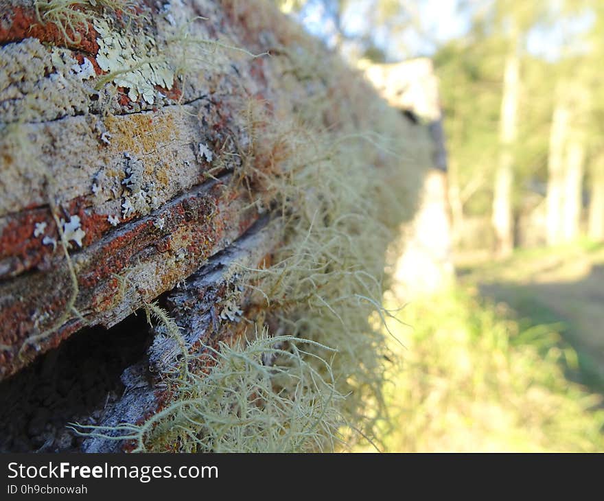 Nelligen, NSW, Australia. Nelligen, NSW, Australia