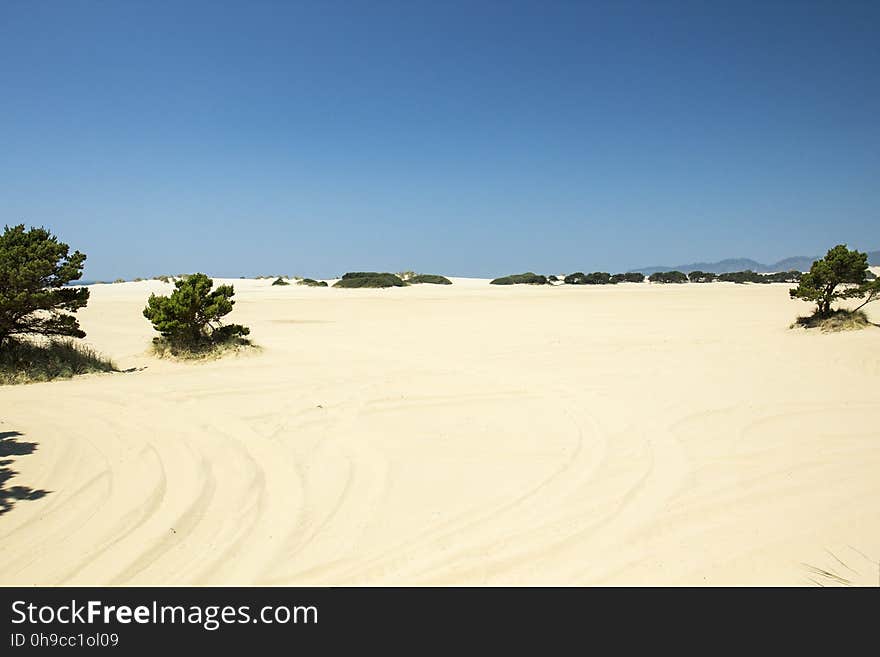 Sand dunes for ATVs. Sand dunes for ATVs