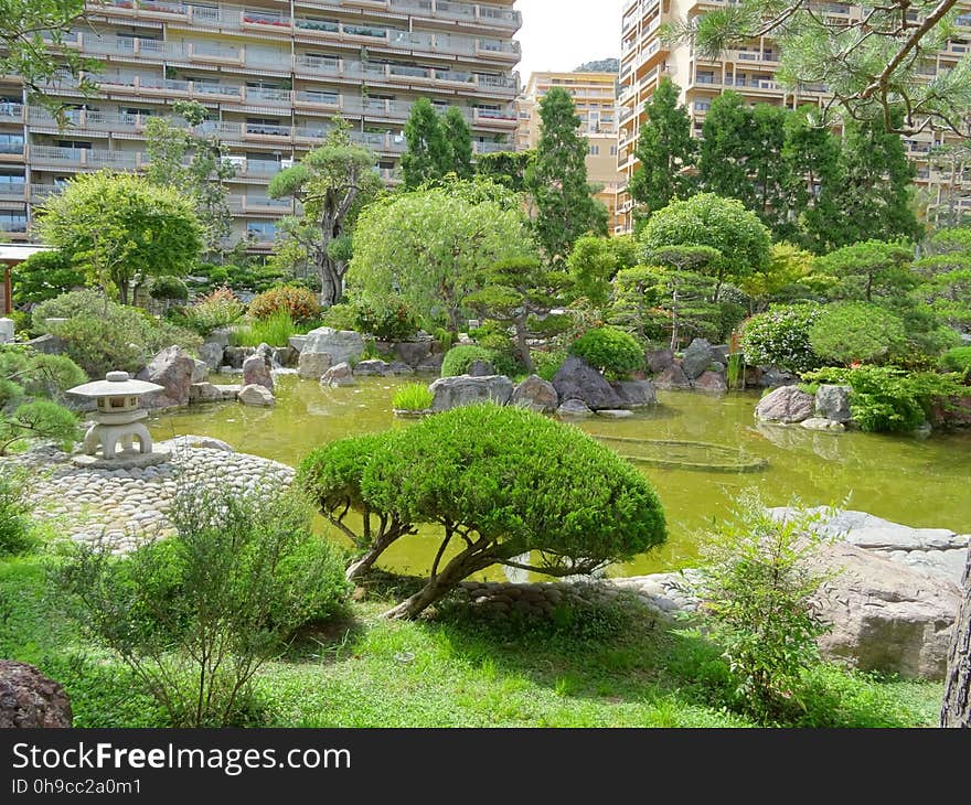 An explosion of nature inside the &#x22;jardin japonais&#x22;. An explosion of nature inside the &#x22;jardin japonais&#x22;