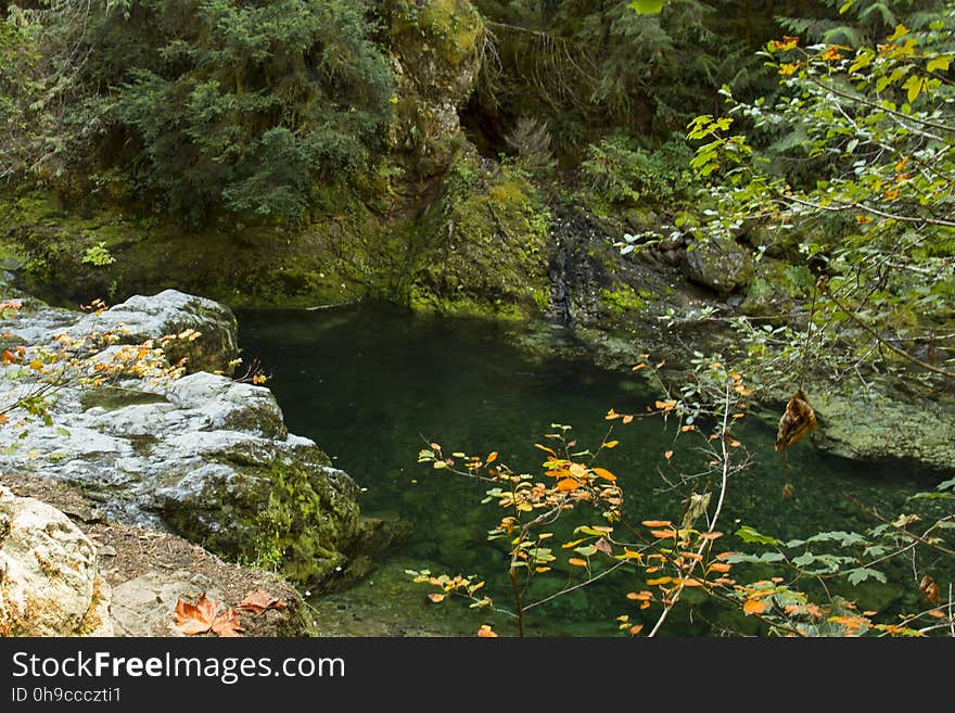 Opal Creek , Oregon