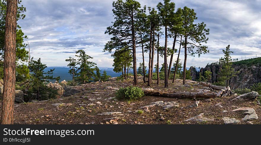 View from the edge of the Mogollon Rim along the Rim Road &#x28;FR 300&#x29;. The Mogollon Rim is one of the most striking geologic features in Arizona. This steep escarpment, measured in thousands of feet and hundreds of miles, begins just across the border in New Mexico and stretches diagonally two thirds of the way across Arizona. It forms the southern edge of the Colorado Plateau, and is one of the most impressive overlooks in the Grand Canyon State. The General Crook Trail/Rim Road Scenic Loop drive is an easy way for the entire family to experience the dramatic scenery of the Mogollon Rim. Photo taken July 20, 2017 by Deborah Lee Soltesz. Source: U.S. Forest Service, Coconino National Forest. Visit Mogollon Rim Ranger District and the Coconino National Forest for more information.