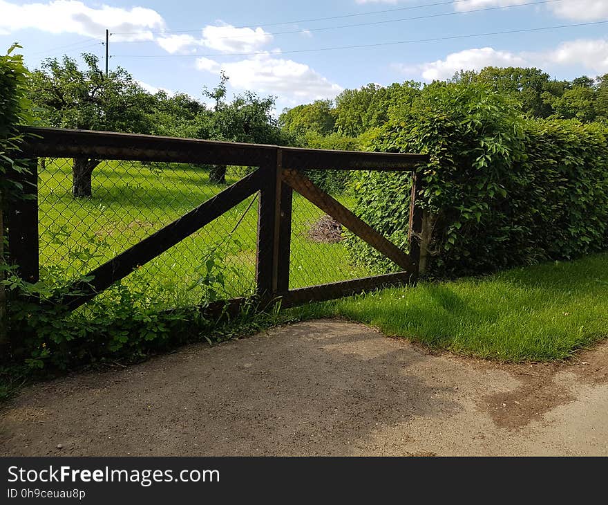 Sky, Cloud, Plant, Natural landscape, Split-rail fence, Tree