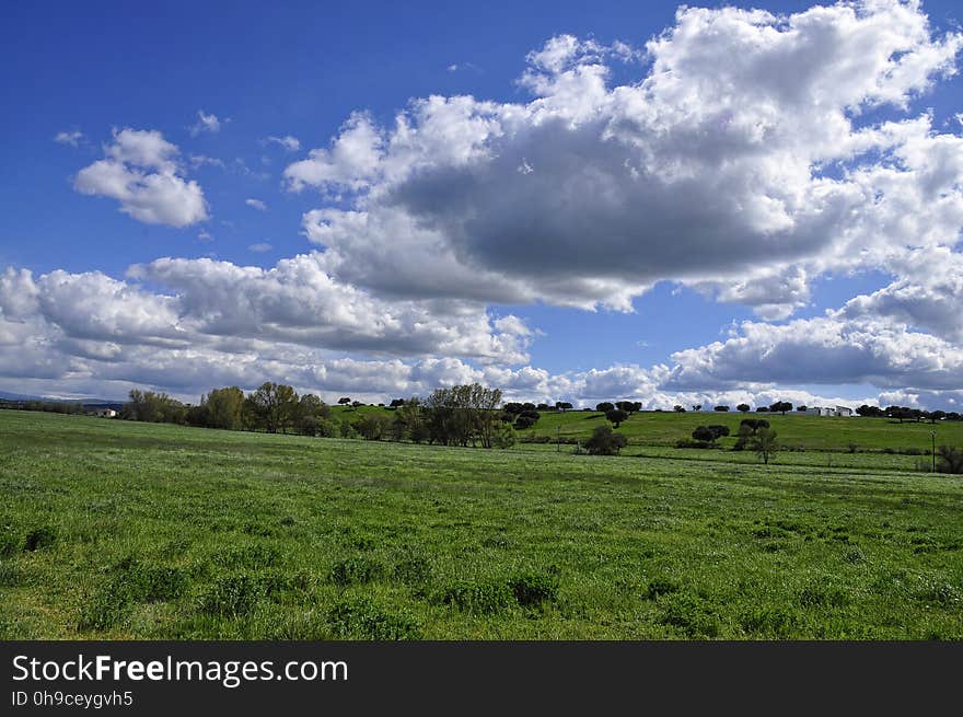 Nubes