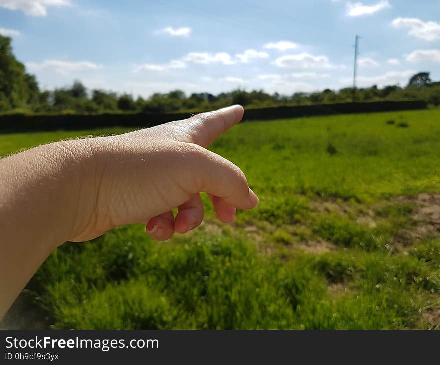 Cloud, Sky, Hand, Plant, People in nature, Natural environment