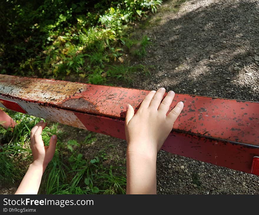 Hand, Plant, Leaf, Wood, Human body, People in nature